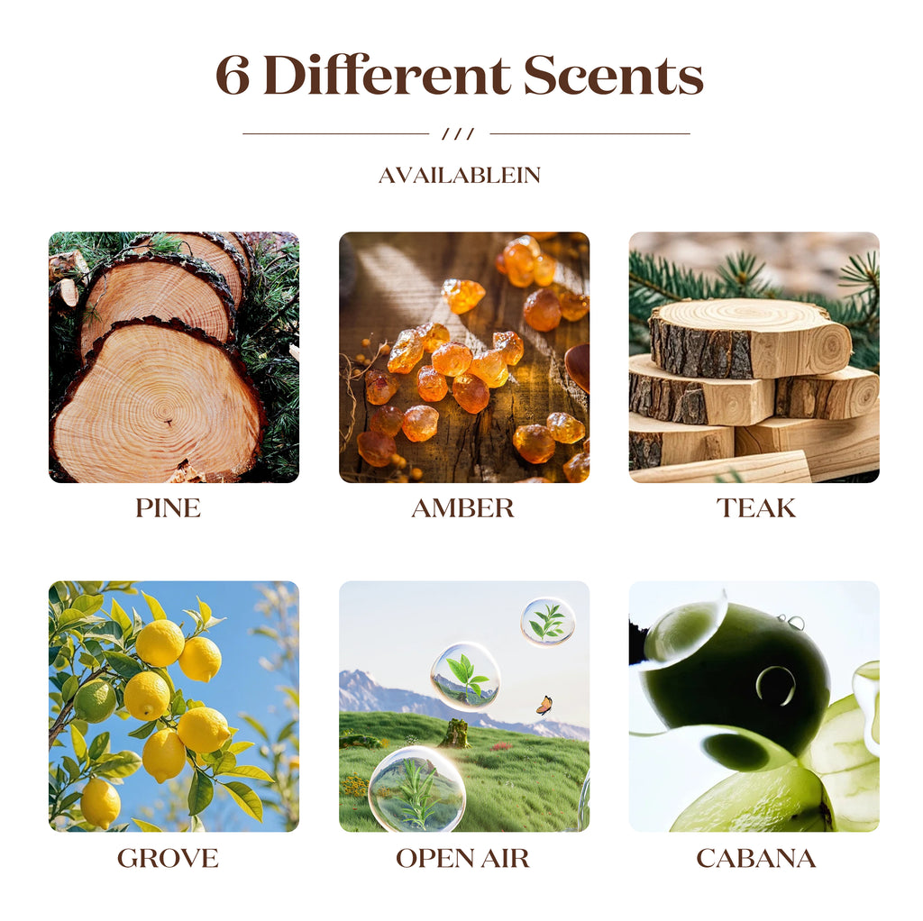 OUVITTO Jasmine, Grove & Pine – 3-Pack Wooden Car Air Freshener